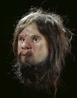 Modern Homo sapiens, Cheddar Man