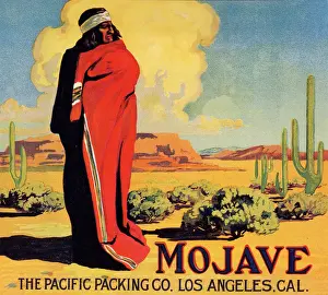 Mojave in Desert