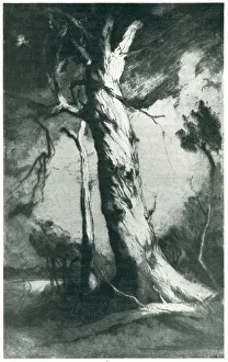 The Monarch