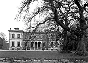 Mansion Prints: Moneyglass House and the Old Cedars, Toomebridge