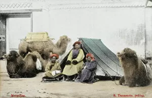 Traders Gallery: Mongolian Traders in China with camels