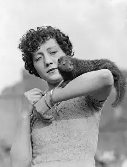Peggy Prints: A Mongoose on the Arm