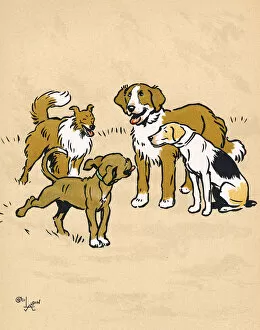 Mongrel puppy with three dogs in the park