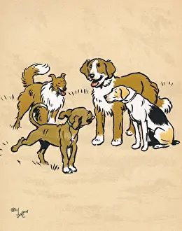 Laughter Prints: Mongrel puppy with three dogs in the park