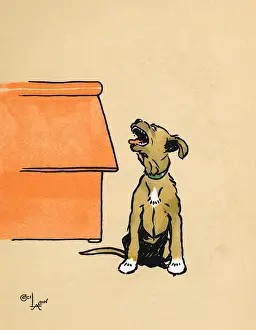 Emanuel Prints: Mongrel puppy howling in the night