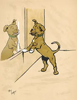 Puppies Prints: Mongrel puppy looking in a mirror