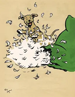 Emanuel Prints: Mongrel puppy makes a mess of a cushion