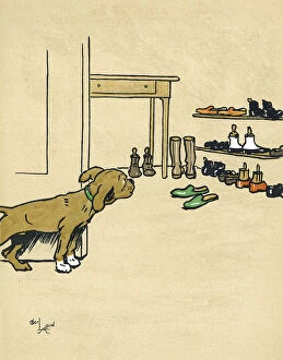 Curiosity Collection: Mongrel puppy tempted by his masters shoes