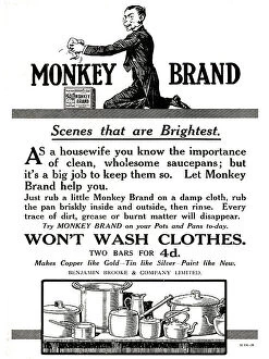 Shining Collection: Monkey Brand Advertisement