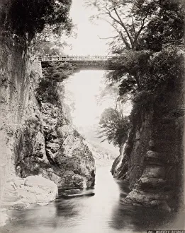 Monkey Bridge, high level wooden bridgeJapan