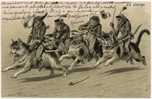 Monkey Brigade Charges