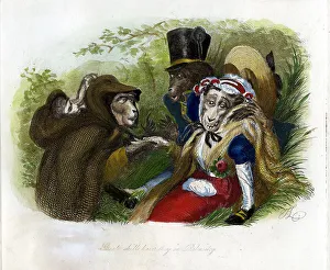 Monkey Cartoon