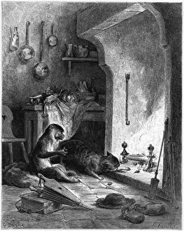 Fable Collection: The Monkey and the Cat