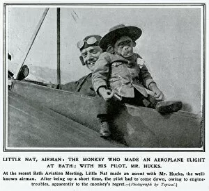 Aviator Collection: Monkey making flight at Bath Aviation Meeting 1912