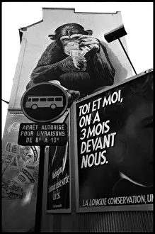 Monkey mural and street signs, Paris, France