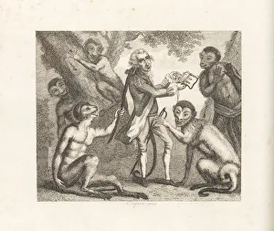 John Stockdale Prints: The Monkey who had seen the World