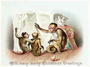 Three monkeys and a cat on a Christmas card