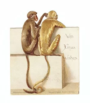 Images Dated 10th December 2015: Two monkeys on a cutout Christmas card