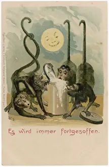 Monkeys Drink Beer