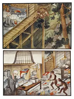 Anxious Prints: Monkeys Reincarnated