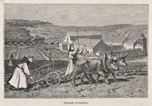 Monks Farming