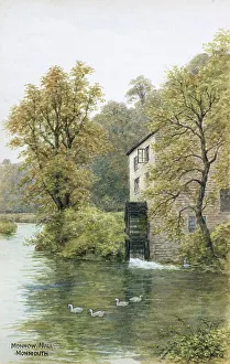 Ducks Prints: Monnow Mill, Monmouth, Wye Valley, South Wales