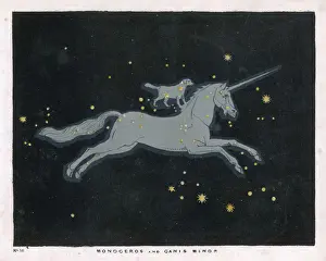 Unicorn Prints: MONOCEROS ETC CONSTELL