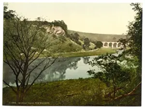 Monsal Prints: Monsal Dale, the Warren, Derbyshire, England
