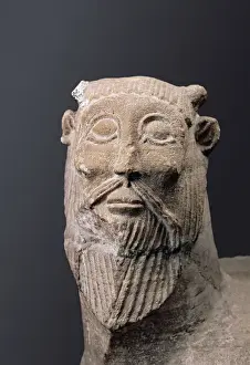 Monster of Balazote. Detail