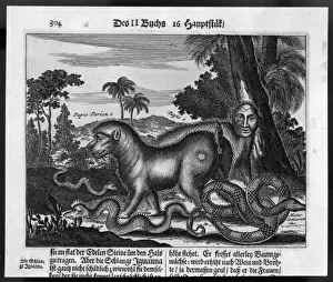Monsters Prints: Monsters of Guatemala
