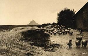 Images Dated 12th May 2011: Mont St Michel, Normandy, France (6 / 6)