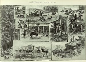 Images Dated 20th February 2012: Montage depicting various Australian sports