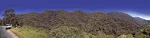 Montane rainforest, Sri Lanka