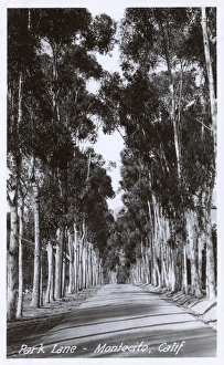 Images Dated 11th July 2017: Montecito, Santa Barbara County, California, USA