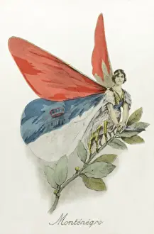 Perch Prints: Montenegro - Depicted as one of the Allied Butterflies