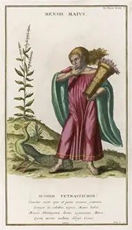 C18th Prints: Month of May C18Th