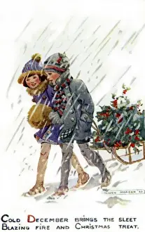 Months of the Year. December