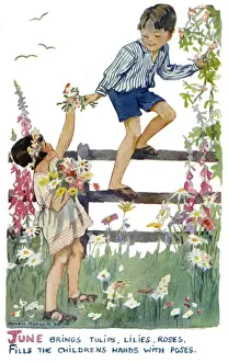 Months of the Year. June