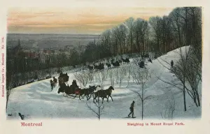 Montreal / Sleighing C20