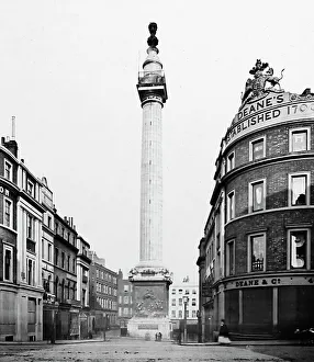 The Monument, London, Victorian period