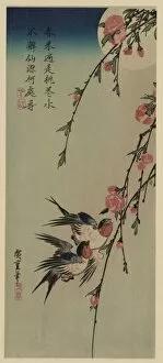 Moon, swallows, and peach blossoms