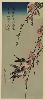 Moon Prints: Moon, swallows, and peach blossoms