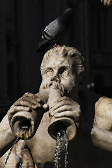 Images Dated 8th March 2009: The Moor Fountain by Giacomo della Porta. 1576. Rome