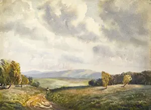 Blustery Prints: Moorland landscape
