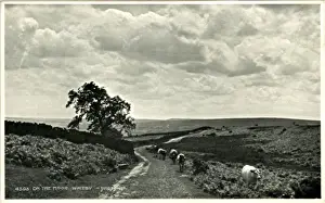 Ruswarp Prints: The Moors, Whitby, Yorkshire