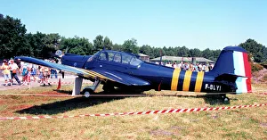 Alcyon Prints: Morane-Saulnier MS. 733 Alcyon F-BLYI