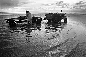 Tractor Prints: Morecambe Bay shrimp fishing