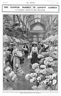 Images Dated 19th October 2015: Morning at the flower market in Covent Garden, 1905