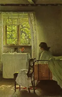 Morning Light