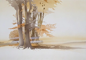 Beautiful Landscapes Gallery: Morning Light through an autumnal wood